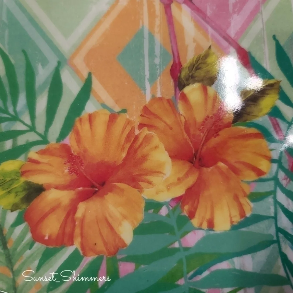 Tropical dinnerware here we